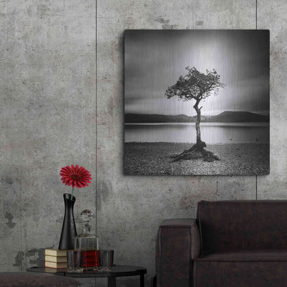 Luxe Metal Art 'Millarrochy Tree' by Nina Papiorek, Metal Wall Art,36x36