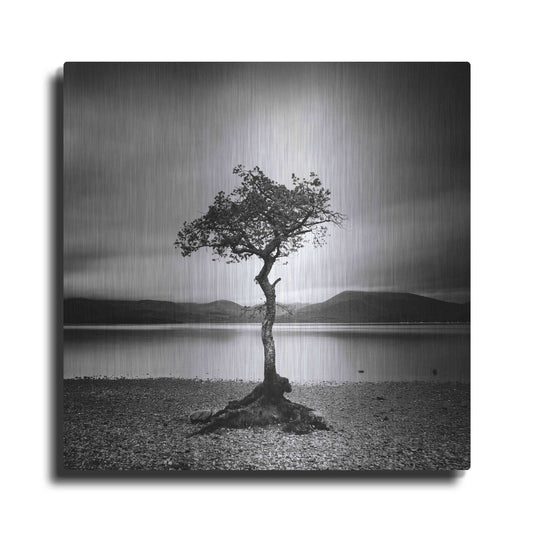 Luxe Metal Art 'Millarrochy Tree' by Nina Papiorek, Metal Wall Art