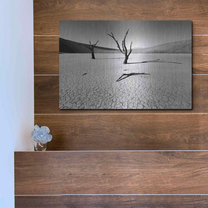 Luxe Metal Art 'Namibia Dead Vlei' by Nina Papiorek, Metal Wall Art,16x12