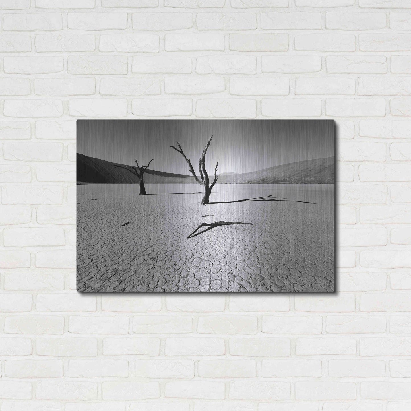 Luxe Metal Art 'Namibia Dead Vlei' by Nina Papiorek, Metal Wall Art,36x24