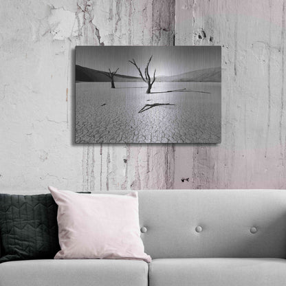 Luxe Metal Art 'Namibia Dead Vlei' by Nina Papiorek, Metal Wall Art,36x24