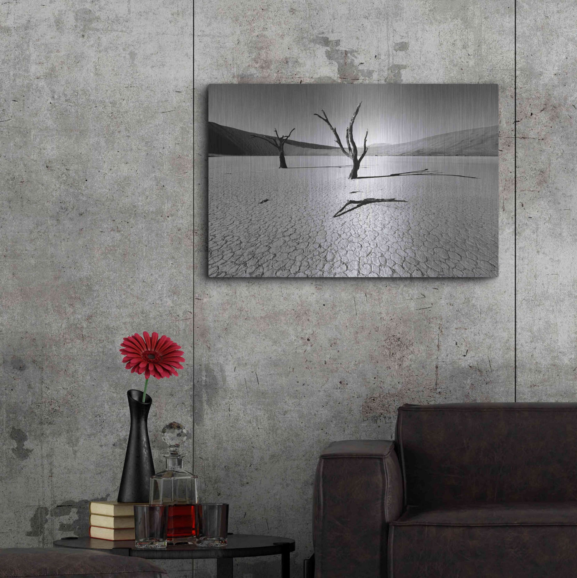 Luxe Metal Art 'Namibia Dead Vlei' by Nina Papiorek, Metal Wall Art,36x24