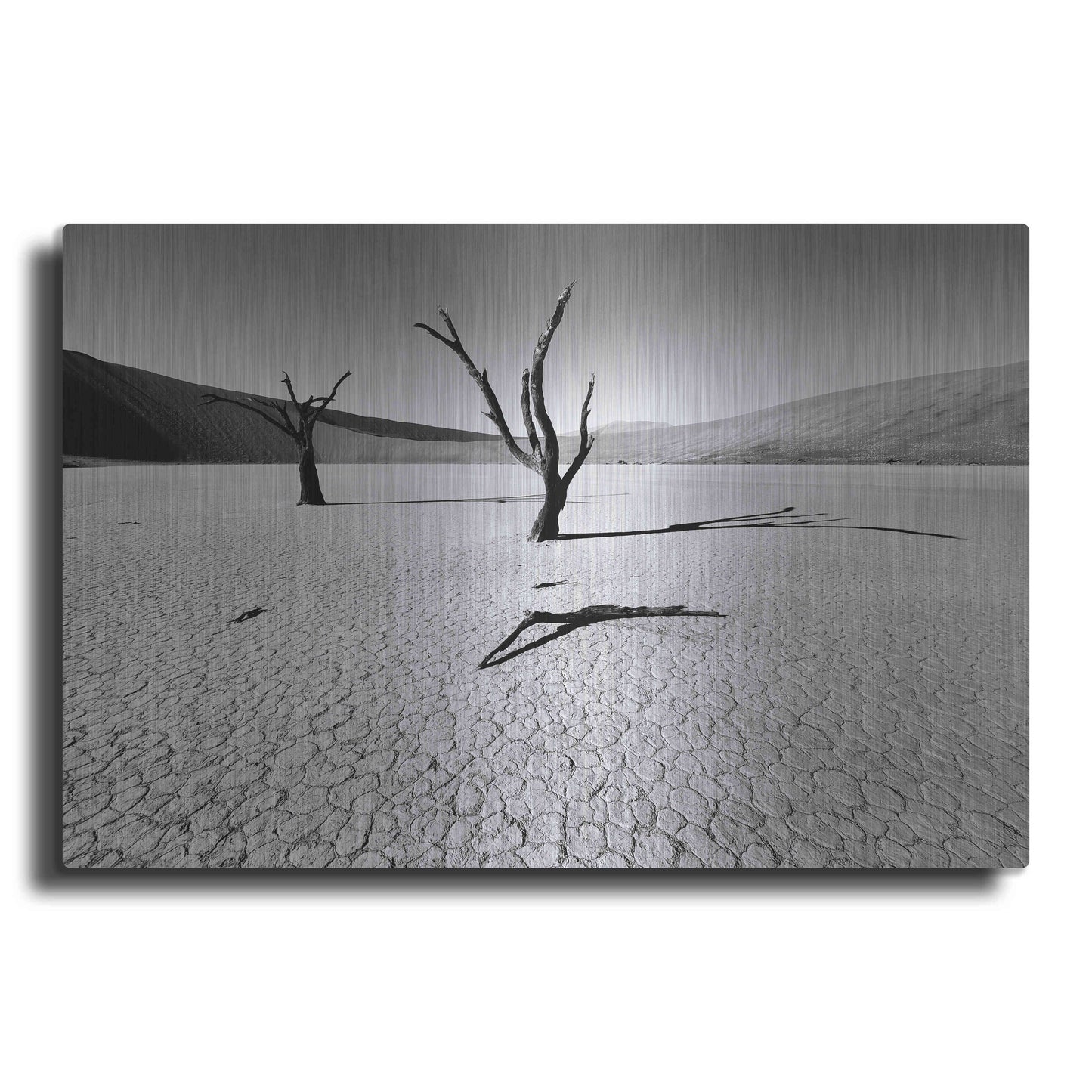 Luxe Metal Art 'Namibia Dead Vlei' by Nina Papiorek, Metal Wall Art