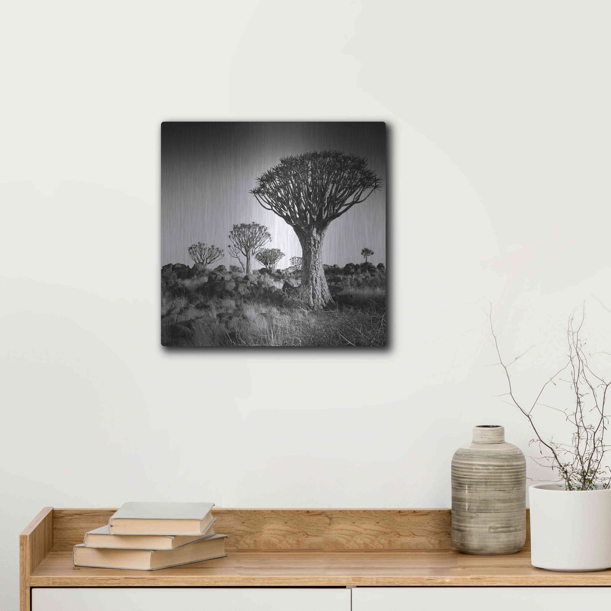 Luxe Metal Art 'Namibia Quiver Trees' by Nina Papiorek, Metal Wall Art,12x12