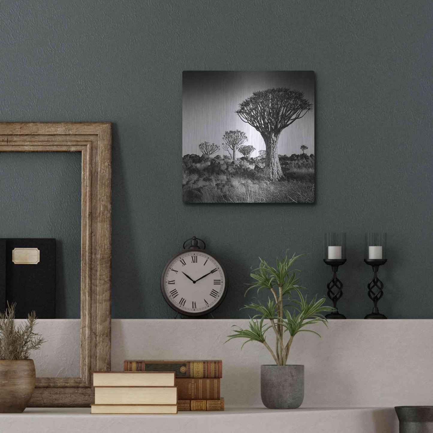 Luxe Metal Art 'Namibia Quiver Trees' by Nina Papiorek, Metal Wall Art,12x12