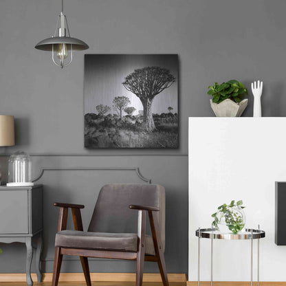 Luxe Metal Art 'Namibia Quiver Trees' by Nina Papiorek, Metal Wall Art,24x24