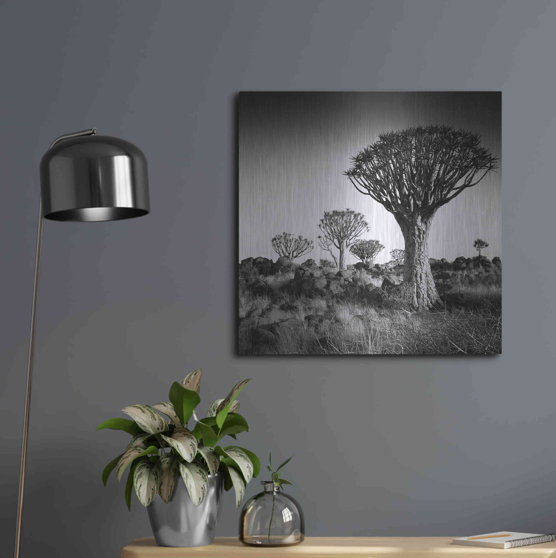 Luxe Metal Art 'Namibia Quiver Trees' by Nina Papiorek, Metal Wall Art,24x24