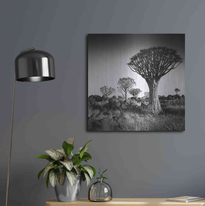 Luxe Metal Art 'Namibia Quiver Trees' by Nina Papiorek, Metal Wall Art,24x24