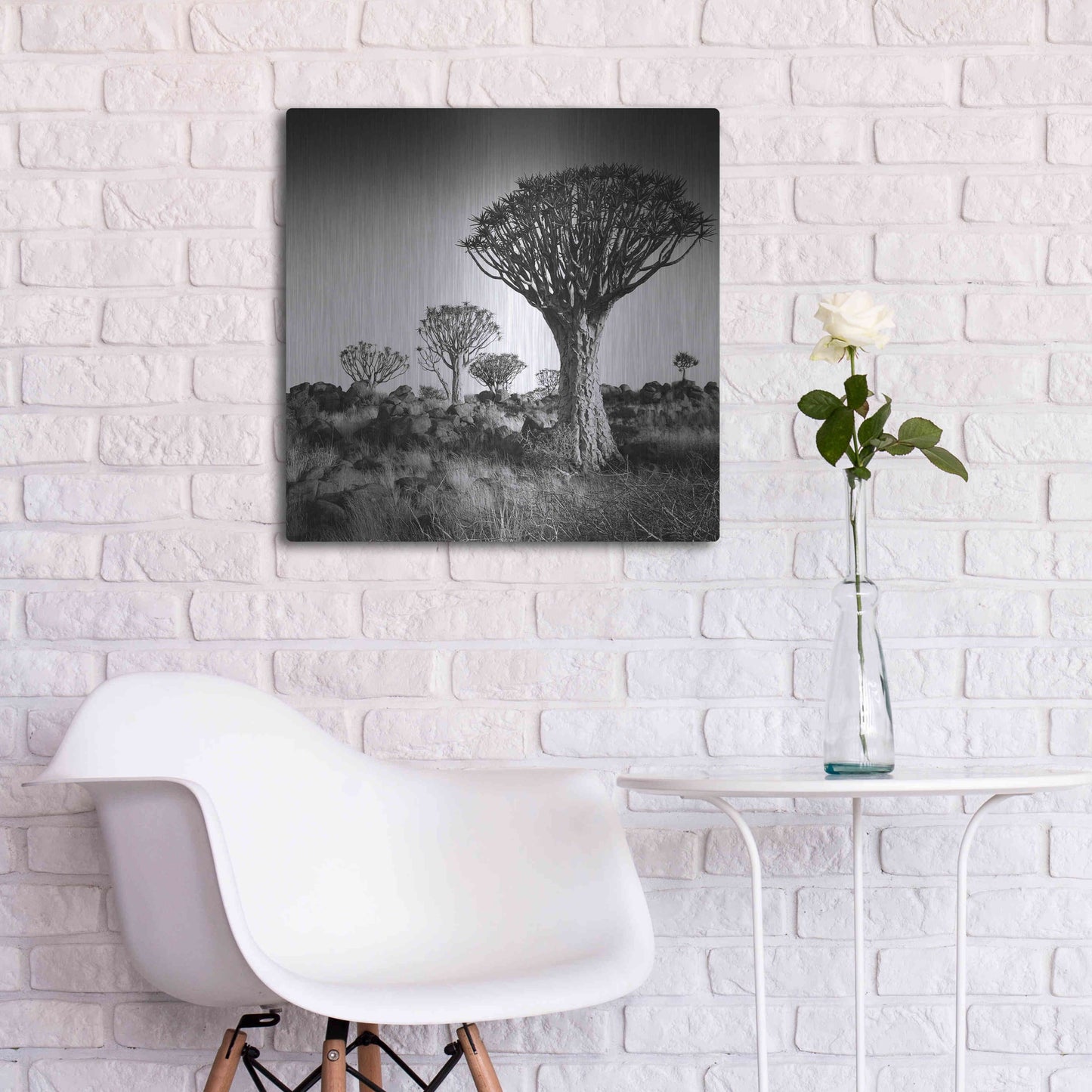 Luxe Metal Art 'Namibia Quiver Trees' by Nina Papiorek, Metal Wall Art,24x24