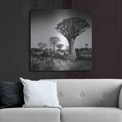Luxe Metal Art 'Namibia Quiver Trees' by Nina Papiorek, Metal Wall Art,36x36