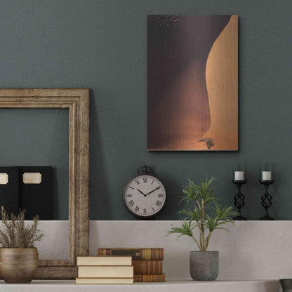 Luxe Metal Art 'Namibia The Dune' by Nina Papiorek, Metal Wall Art,12x16