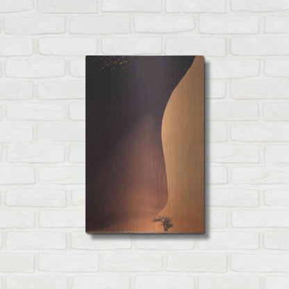 Luxe Metal Art 'Namibia The Dune' by Nina Papiorek, Metal Wall Art,16x24