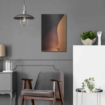 Luxe Metal Art 'Namibia The Dune' by Nina Papiorek, Metal Wall Art,16x24