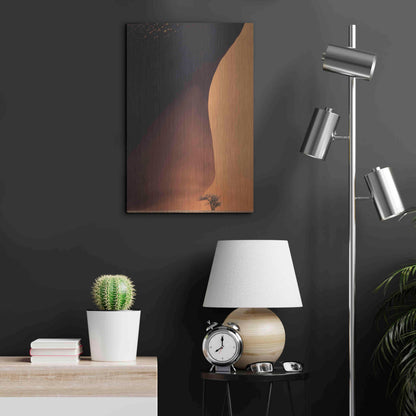 Luxe Metal Art 'Namibia The Dune' by Nina Papiorek, Metal Wall Art,16x24