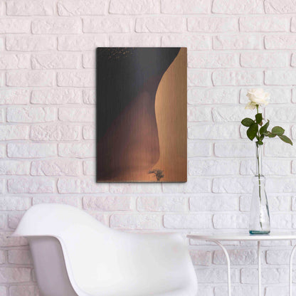 Luxe Metal Art 'Namibia The Dune' by Nina Papiorek, Metal Wall Art,16x24