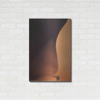 Luxe Metal Art 'Namibia The Dune' by Nina Papiorek, Metal Wall Art,24x36