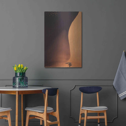 Luxe Metal Art 'Namibia The Dune' by Nina Papiorek, Metal Wall Art,24x36