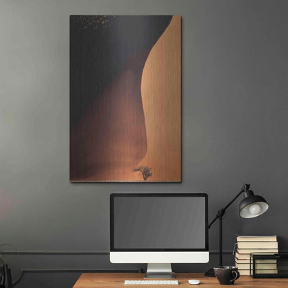 Luxe Metal Art 'Namibia The Dune' by Nina Papiorek, Metal Wall Art,24x36