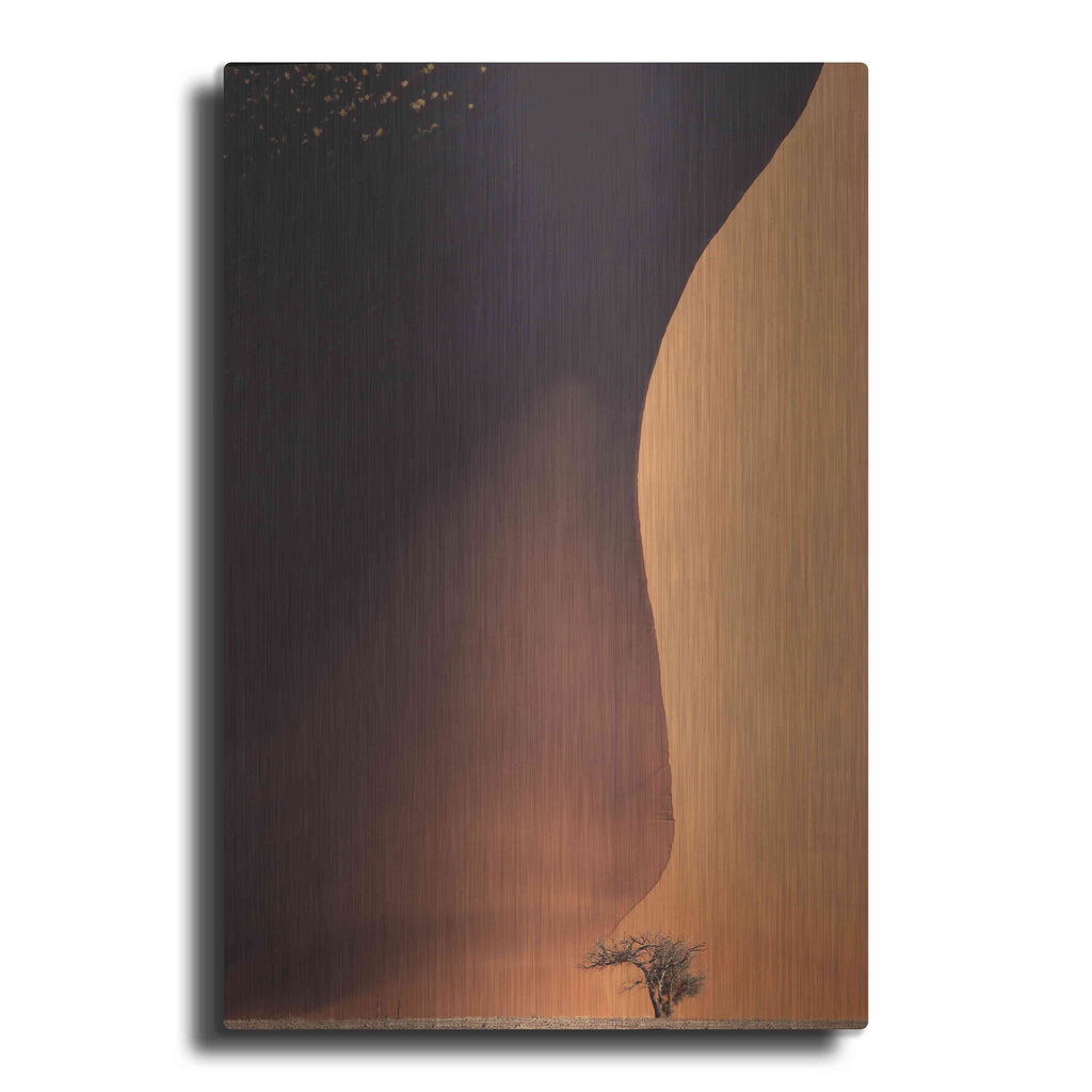 Luxe Metal Art 'Namibia The Dune' by Nina Papiorek, Metal Wall Art