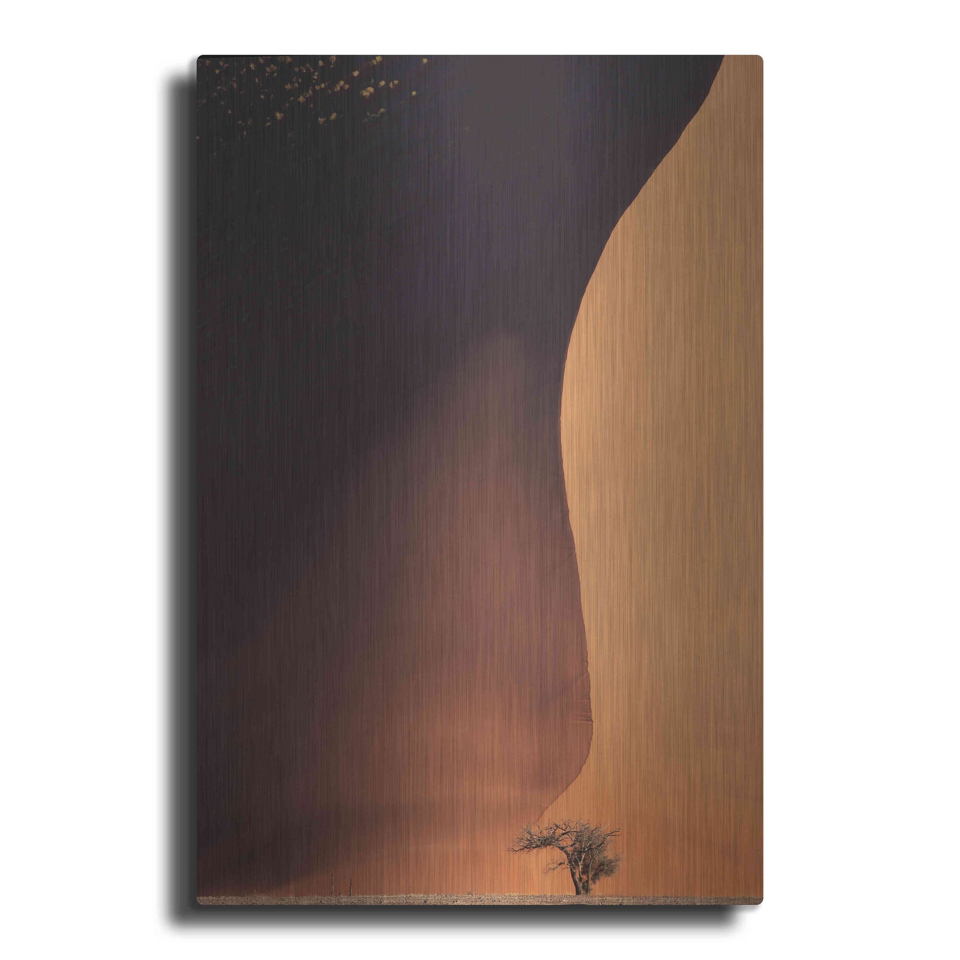 Luxe Metal Art 'Namibia The Dune' by Nina Papiorek, Metal Wall Art