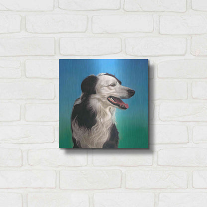 Luxe Metal Art 'Collie Jud' by Karie-Ann Cooper, Metal Wall Art,12x12