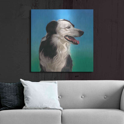 Luxe Metal Art 'Collie Jud' by Karie-Ann Cooper, Metal Wall Art,36x36