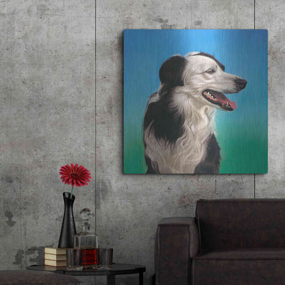 Luxe Metal Art 'Collie Jud' by Karie-Ann Cooper, Metal Wall Art,36x36