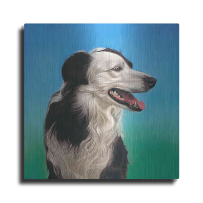 Luxe Metal Art 'Collie Jud' by Karie-Ann Cooper, Metal Wall Art