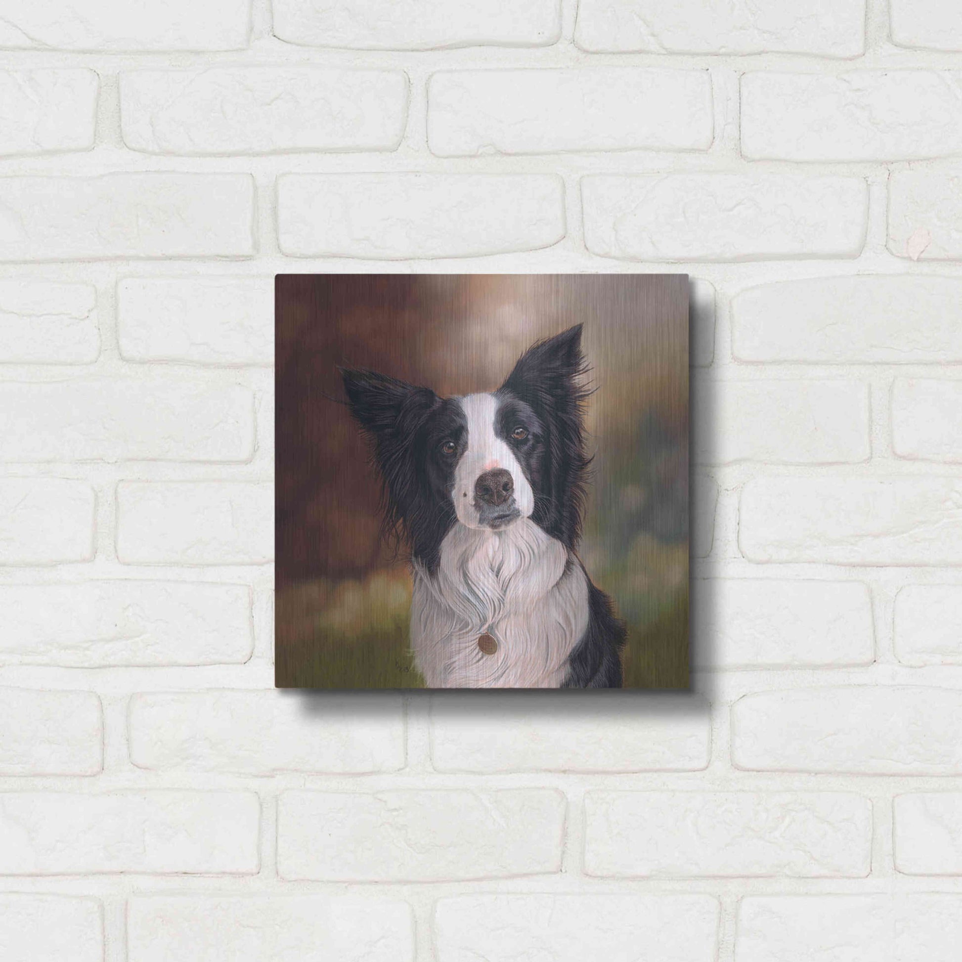 Luxe Metal Art 'Collie Perdy' by Karie-Ann Cooper, Metal Wall Art,12x12