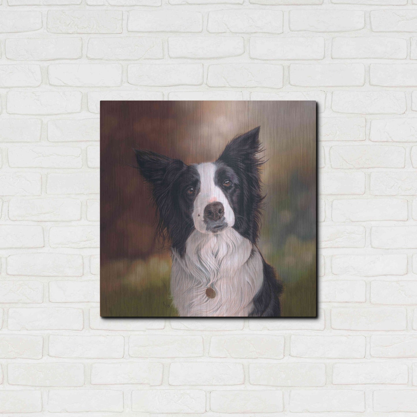 Luxe Metal Art 'Collie Perdy' by Karie-Ann Cooper, Metal Wall Art,24x24