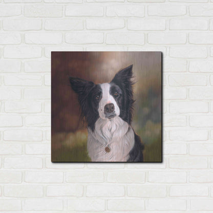 Luxe Metal Art 'Collie Perdy' by Karie-Ann Cooper, Metal Wall Art,24x24