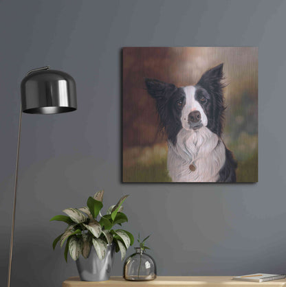 Luxe Metal Art 'Collie Perdy' by Karie-Ann Cooper, Metal Wall Art,24x24