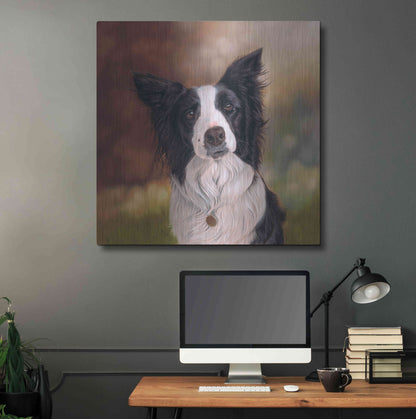 Luxe Metal Art 'Collie Perdy' by Karie-Ann Cooper, Metal Wall Art,36x36