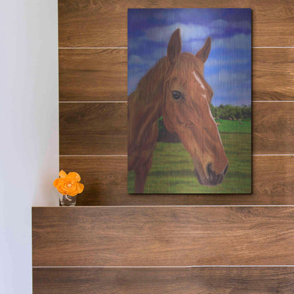 Luxe Metal Art 'Field Horse' by Karie-Ann Cooper, Metal Wall Art,12x16