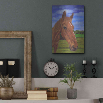 Luxe Metal Art 'Field Horse' by Karie-Ann Cooper, Metal Wall Art,12x16