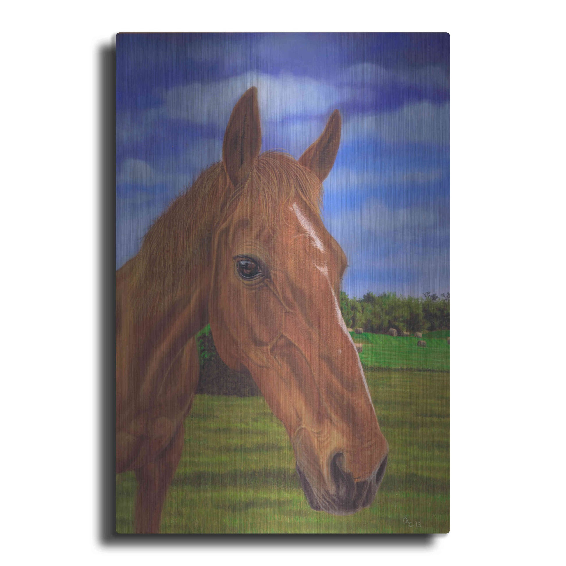 Luxe Metal Art 'Field Horse' by Karie-Ann Cooper, Metal Wall Art