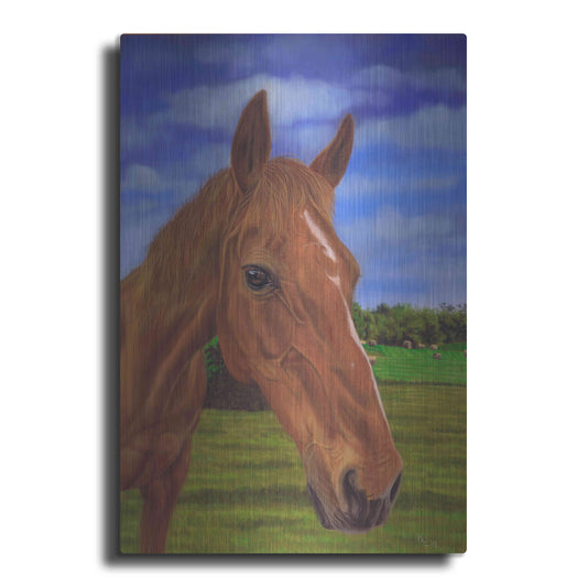 Luxe Metal Art 'Field Horse' by Karie-Ann Cooper, Metal Wall Art