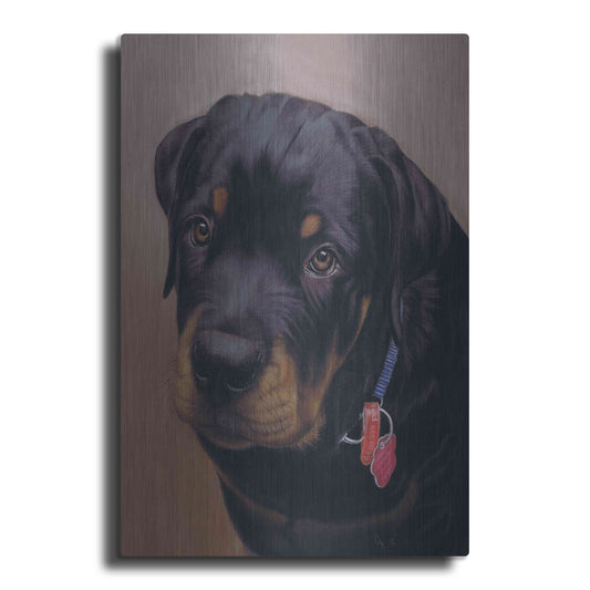 Luxe Metal Art 'Rottweiler Solo' by Karie-Ann Cooper, Metal Wall Art