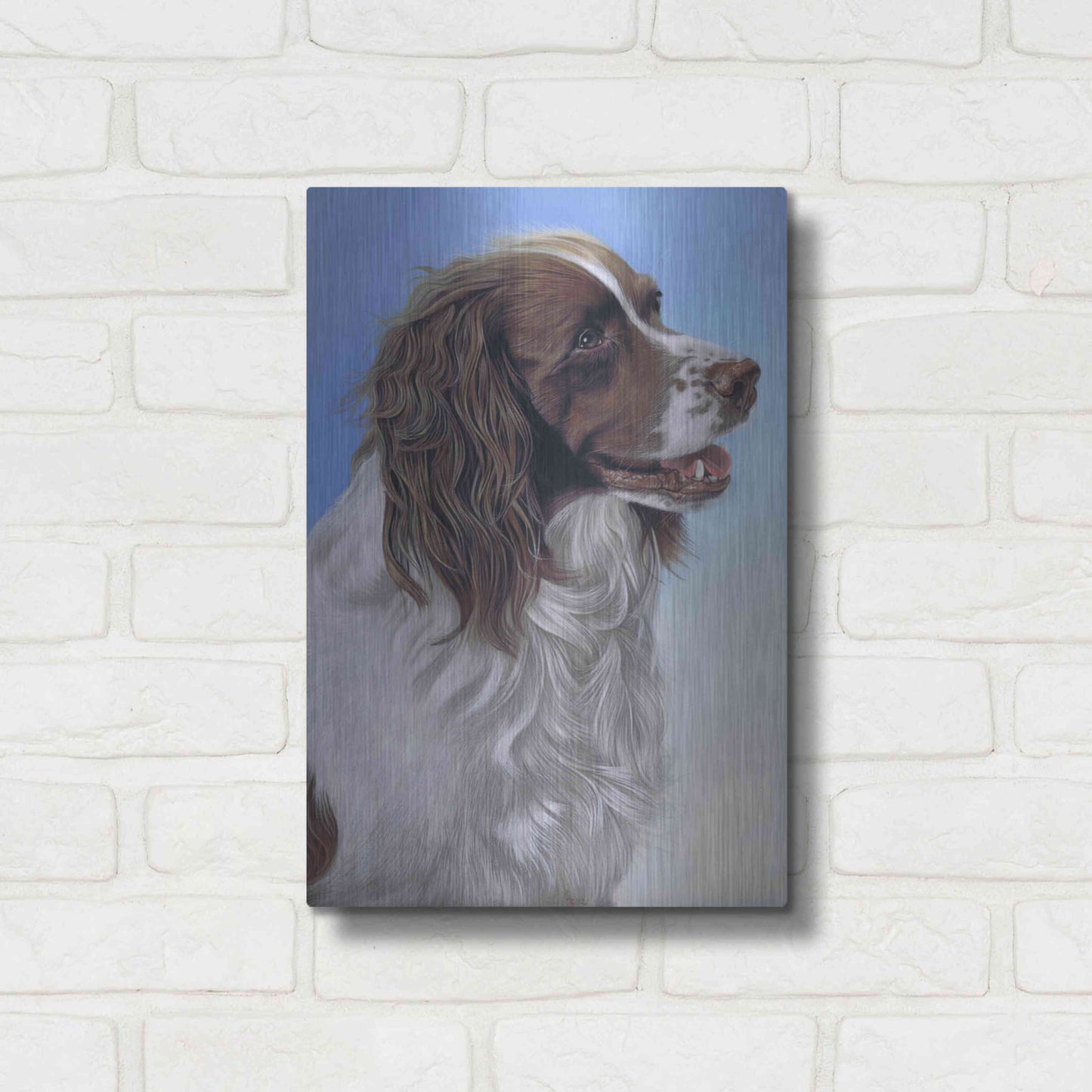 Luxe Metal Art 'Springer Spaniel Brodie' by Karie-Ann Cooper, Metal Wall Art,12x16