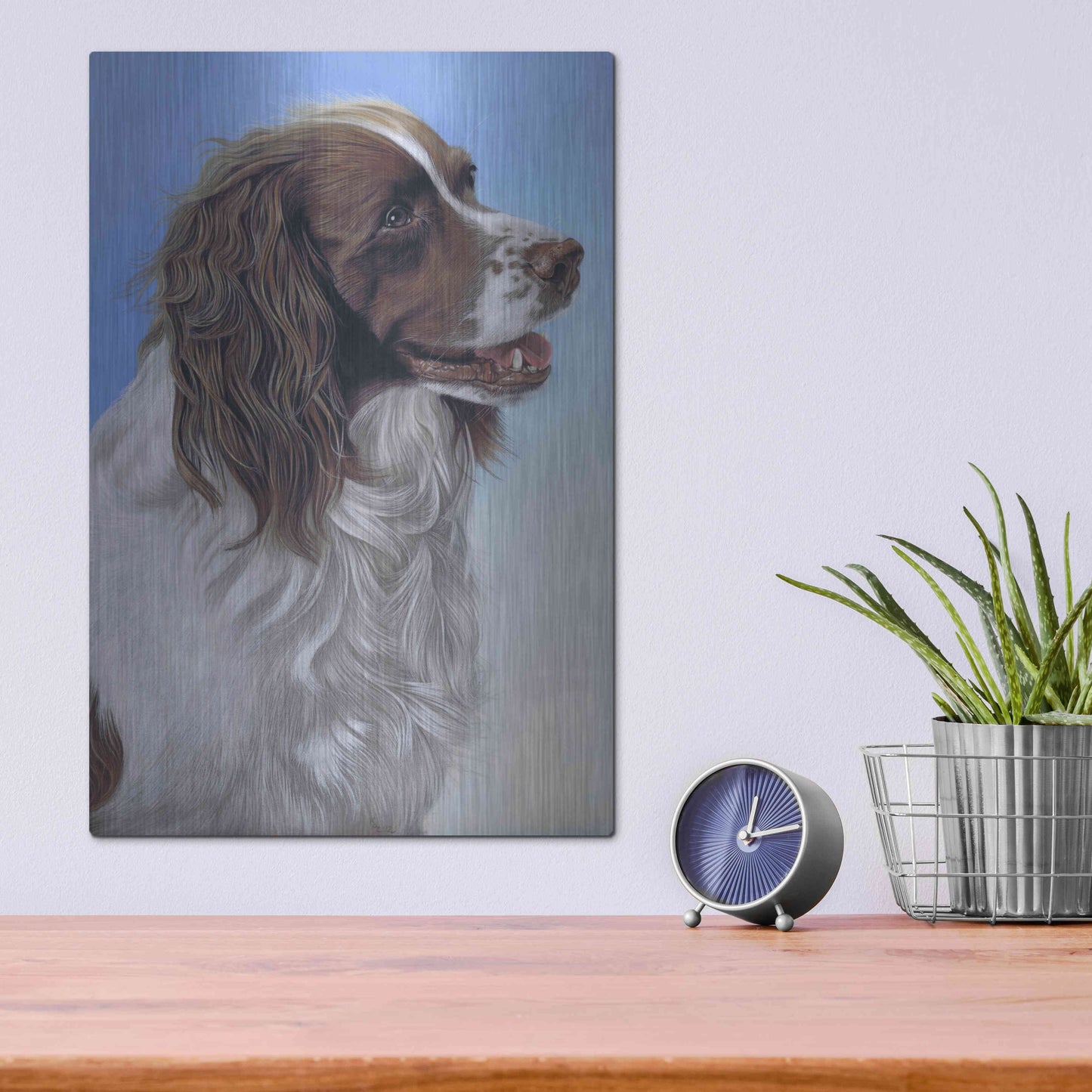 Luxe Metal Art 'Springer Spaniel Brodie' by Karie-Ann Cooper, Metal Wall Art,12x16