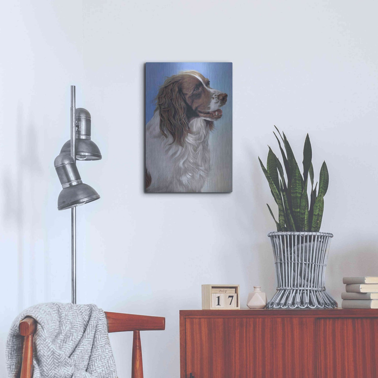 Luxe Metal Art 'Springer Spaniel Brodie' by Karie-Ann Cooper, Metal Wall Art,16x24