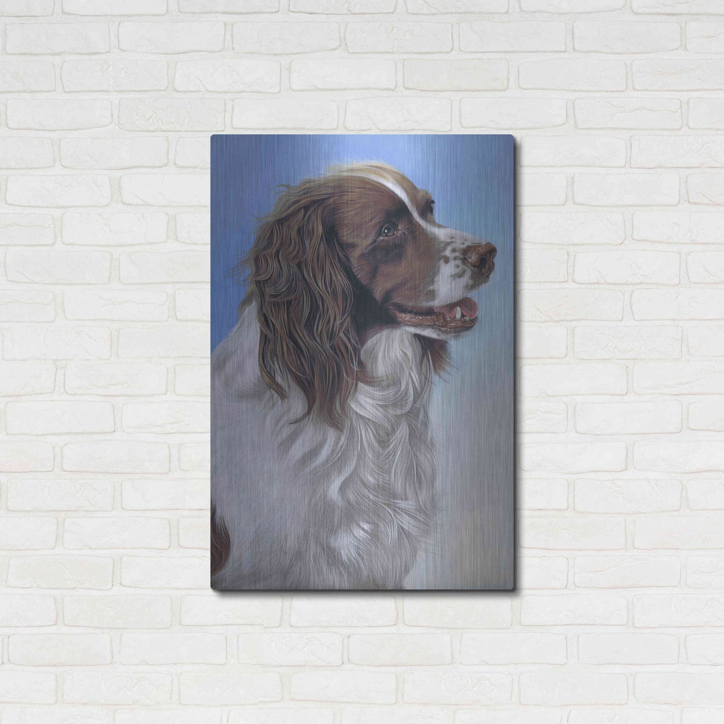 Luxe Metal Art 'Springer Spaniel Brodie' by Karie-Ann Cooper, Metal Wall Art,24x36