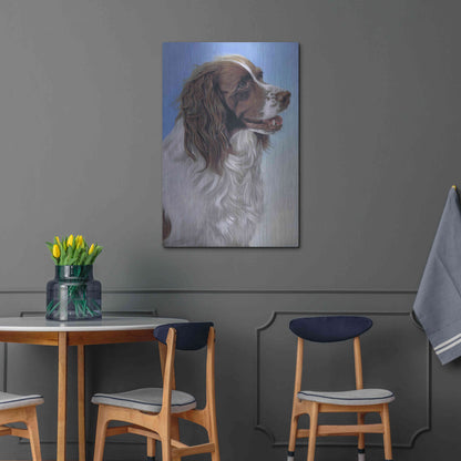 Luxe Metal Art 'Springer Spaniel Brodie' by Karie-Ann Cooper, Metal Wall Art,24x36