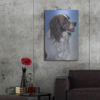 Luxe Metal Art 'Springer Spaniel Brodie' by Karie-Ann Cooper, Metal Wall Art,24x36