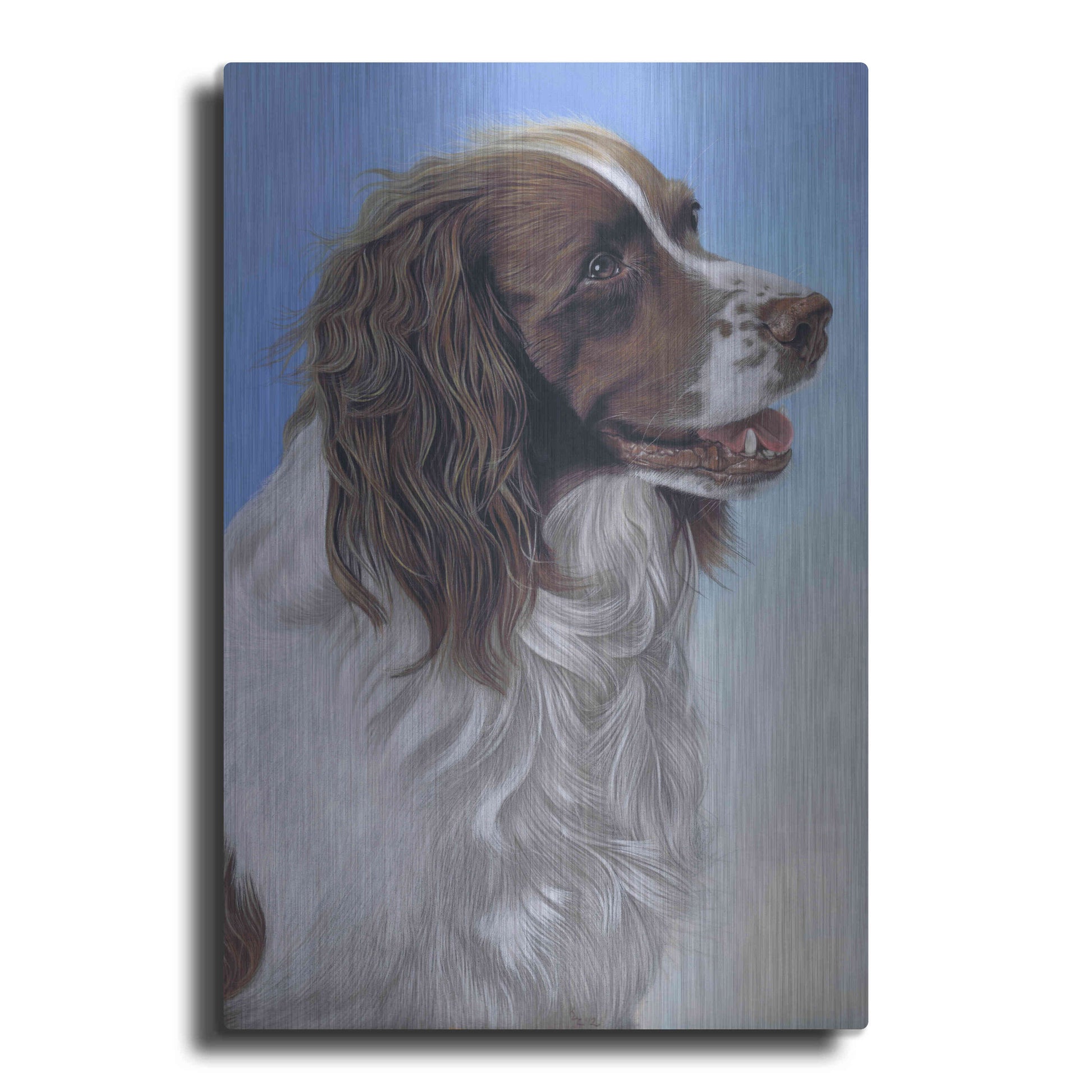 Luxe Metal Art 'Springer Spaniel Brodie' by Karie-Ann Cooper, Metal Wall Art