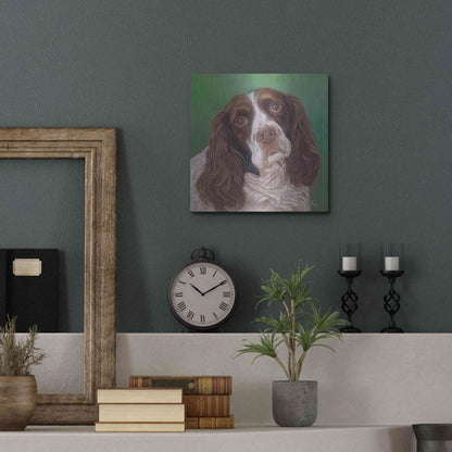 Luxe Metal Art 'Springer Spaniel Fleck' by Karie-Ann Cooper, Metal Wall Art,12x12