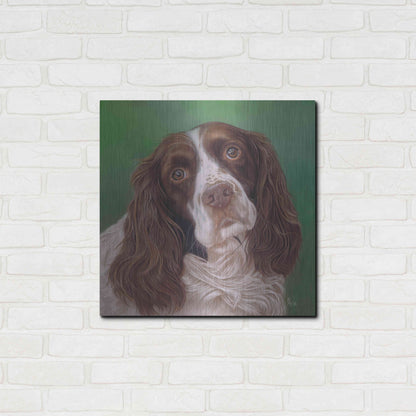 Luxe Metal Art 'Springer Spaniel Fleck' by Karie-Ann Cooper, Metal Wall Art,24x24