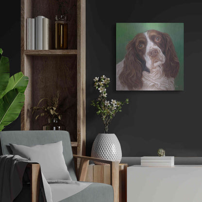 Luxe Metal Art 'Springer Spaniel Fleck' by Karie-Ann Cooper, Metal Wall Art,24x24