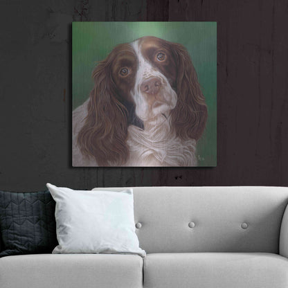 Luxe Metal Art 'Springer Spaniel Fleck' by Karie-Ann Cooper, Metal Wall Art,36x36