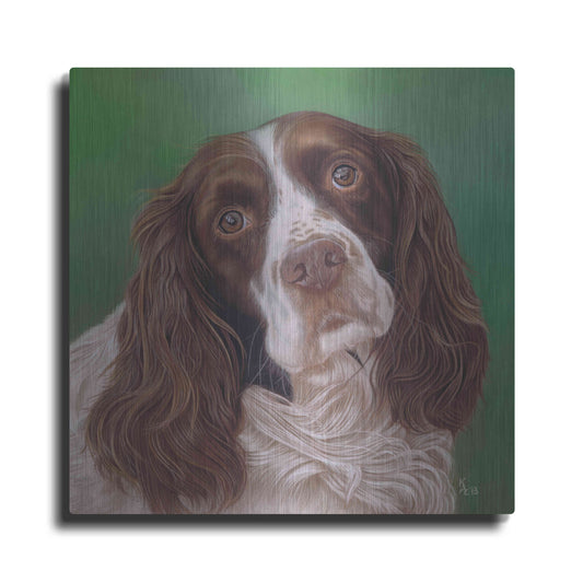 Luxe Metal Art 'Springer Spaniel Fleck' by Karie-Ann Cooper, Metal Wall Art